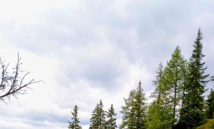  (Foto: Naturfreunde Mauthausen)