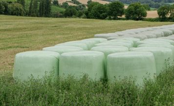 Agrarfolien werden im Bezirk Perg kostenlos gesammelt