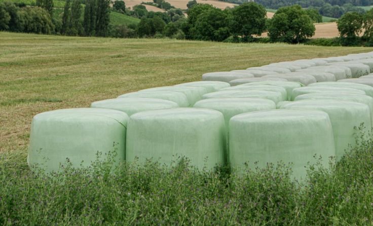 Silofolien werden zur Wiederverwertung im Bezirk Perg gesammelt. (Foto: Karl/stock.adobe.com)