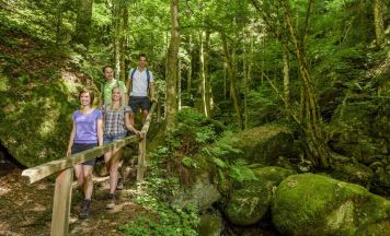 Bad Kreuzens Wolfsschlucht steht zur Wahl
