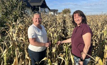 Große Ernteausfälle im Bezirk Perg