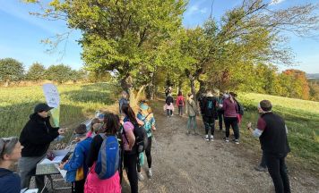 Wandern und Begegnungen in Schwertberg