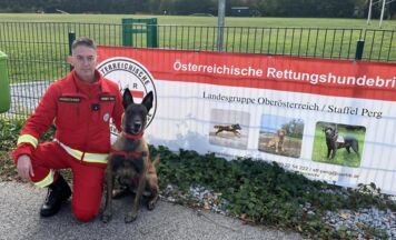 Mit Rettungshunden auf Vermisstensuche im Bezirk Perg