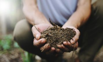 Umweltkongress informiert in Linz über den Schutz der Natur