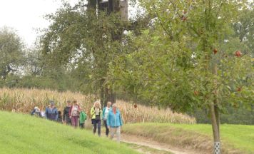 Weberbartl-Apfel-Wanderung lädt zum Genusswandern in Sankt Marienkirchen an der Polsenz ein
