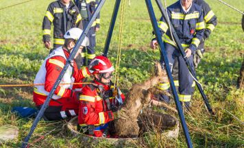 Reh aus sechs Meter tiefem Brunnen gerettet