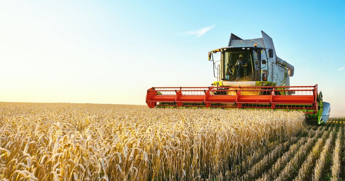 Master Farmer Course in Waizenkirchen