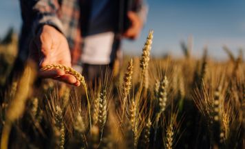 Fachveranstaltung zur klimafitten Landwirtschaft in Waizenkirchen