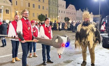 Eferdinger Gaukler stürmen das Rathaus