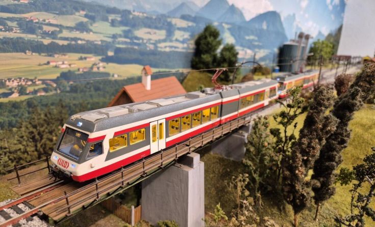 Eine detailreiche Modellbahnlandschaft des Modelleisenbahnclubs Eferding (Foto: Mario Radauer)