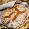 Brot & Gebäck aus dem eigenen Backofen - Mit gelingsicheren Rezepten Brote selber machen