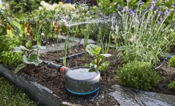 Früher Start für einen entspannten Sommer