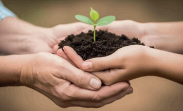 Was Pflanzen brauchen