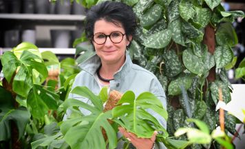 Von Tomate bis Thymian: Warum die richtige Kombination im Beet oder Topf entscheidend ist