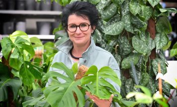 Was Tomaten wirklich brauchen
