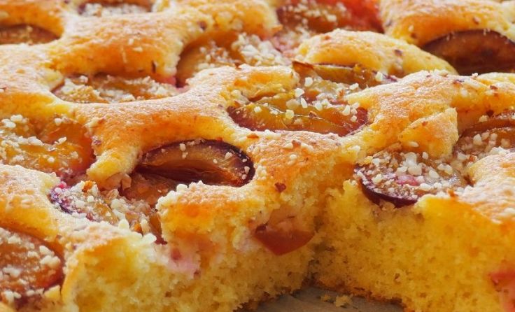 Fotos: Elisabeth Kronsteiner