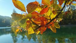 Familienwanderung: Naturgenuss im herbstlichen Farbenrausch