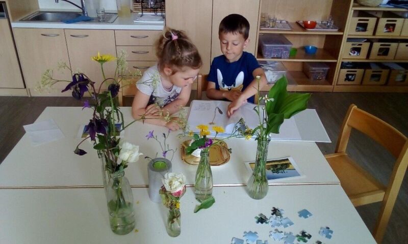  Foto zu Frühling im Kindergarten Pötting 