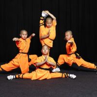 LINZ. 3x2 Freikarten für die Mönche des Shaolin Kung Fu im Brucknerhaus.