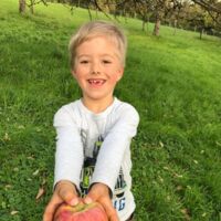 NUßBACH. 2x1 Getränkepaket der Familie Höllhuber, abzuholen bis 17. April, Tips Kirchdorf, Simon-Redtenbacher-Platz 9