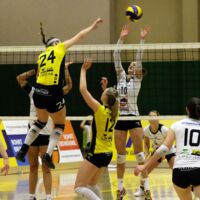 Derby-Knüller: Perger Prinzessinnen fordern das derzeit beste Volleyball-Team Österreichs heraus
