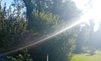 Foto: Stadtgemeinde Ried