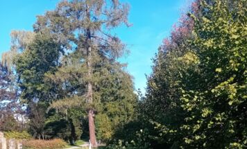 Foto: Stadtgemeinde Ried