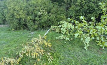 Foto: Stadtgemeinde Ried