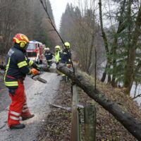 Nach dem Sturm ist vor dem Sturm