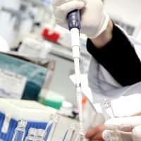 Wie akuter Stress wirkt: Rohrbacher Forscherin erhält Stipendium