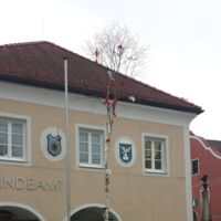 Maibaumdiebe haben erstmals in Hofkirchen zugeschlagen - Höhepunkt des Speckdackels ist ungewiss