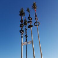 Vom Maibaum, den keiner mehr haben will