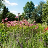 Hildegard von Bingen zieht in Österreichs größtem Bio-Heilkräutergarten ein