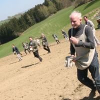 In diesen Feldern summt es: Ein Loblied auf die Bio-Landwirtschaft
