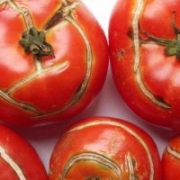 Ausstellungen: Strobl und Dreux im Lentos