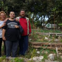 Paten für 200 Olivenbäume gesucht