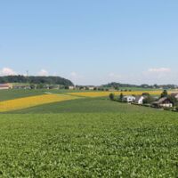 Steyrer Westspange: zehn Brücken und Übergänge