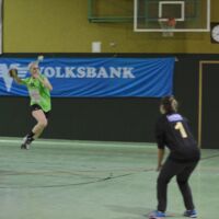 Meisterhafte Partie der Eferdinger Handballerinnen gegen SK Keplinger Traun