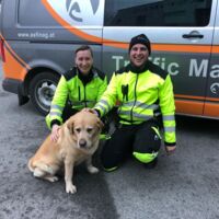 Hund von Autobahn gerettet