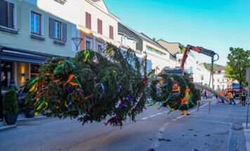 Bild 18