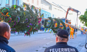Bild 19