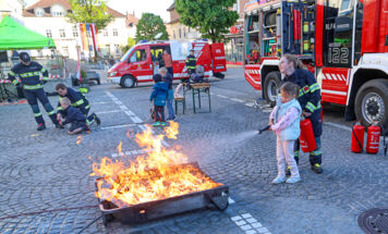 Bild 41