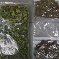 Schlag gegen die Suchtmittelkriminalität: Drogenring im Bezirk Melk zerschlagen