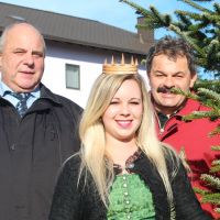 Christbaumkönigin Jennifer I suchte Christbaum für Brüssel aus