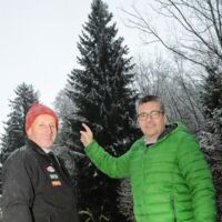 Christbaum vor Landhaus St. Pölten stammt aus Ertl