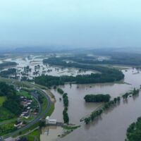 Donau-Au bei Ardagger bereits teilweise überschwemmt