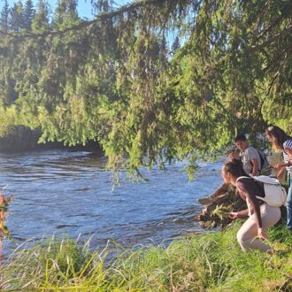 Naturführung und Kräuterwanderung