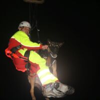 Rettungshundestaffel Eberschwang trainierte mit der Feuerwehr Ried