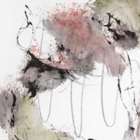 Kunsthaus Obernberg: Ausstellung Verwandte Organismen