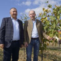 „Von georgischem Wein wird man noch sehr viel hören